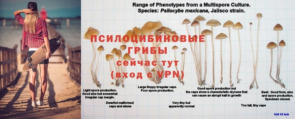 метадон Дмитриев