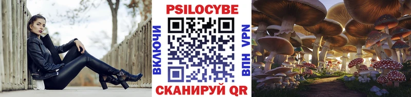 Купить закладки  Почеп  Псилоцибиновые грибы прущие грибы 